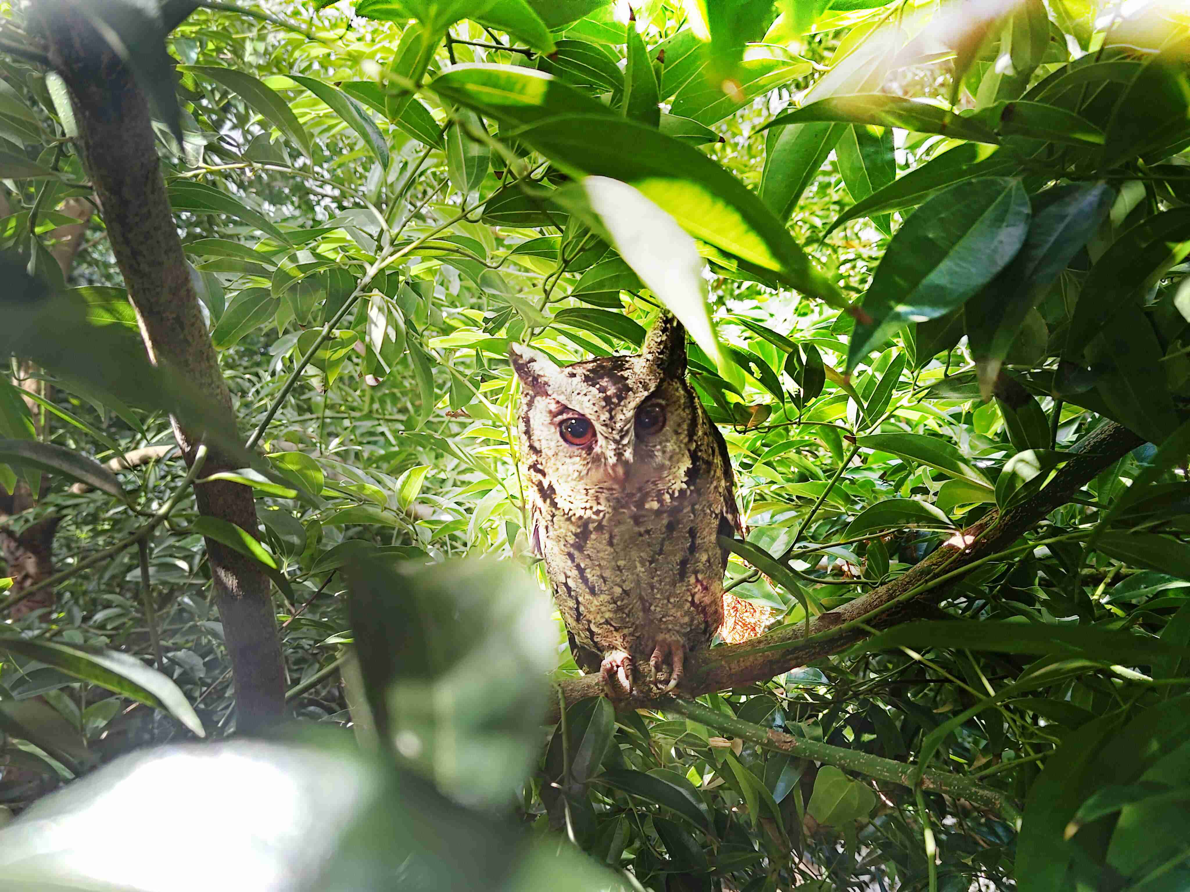 尊时凯龙致力提倡净零绿生活，，16年以来在全球各厂区植树逾百万棵，，，造就各厂区树木蔚然成林，，，，犹如森林工厂，，，成为许多生物的栖息地